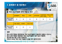 SAS의 성과 보상 제도 연구-12