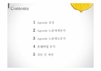 언론 Agenda 분석-2