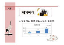 댕기머리 브랜드 전략-4