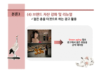 댕기머리 브랜드 전략-18