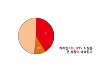 KT 브랜딩 강화 전략-13