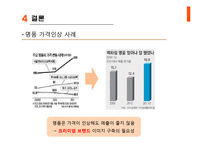 모조품 문제 사례와 대안제시-16