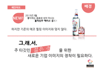 홈믹싱주 `맥키스` 홍보 방안-5