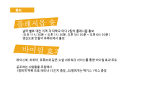 홈믹싱주 `맥키스` 홍보 방안-12
