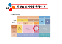 CJ식품 중국 진출 분석-18
