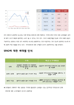 SPAO 마케팅 전략 제안-8