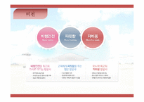 이스타 항공 장단점과 개선방안-5