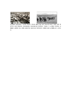 영화 `지슬`, `작은연못`속 한국사 고찰-5