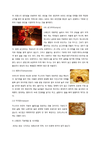 스페인 음식 문화-8