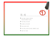 제18대 대통령 선거-박근혜, 문재인 후보의 전략 분석-3