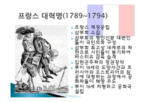 정치혁명-민주주의, 인권, 헌법의 발명-11