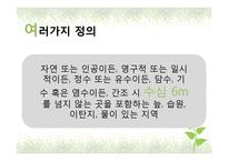 국내외 습지현황과 습지보존 방안-4