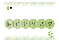 국내외 습지현황과 습지보존 방안-9