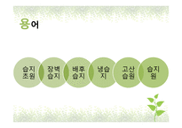 국내외 습지현황과 습지보존 방안-11