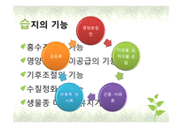 국내외 습지현황과 습지보존 방안-18