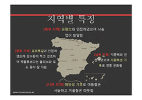 스페인 음식 문화-6
