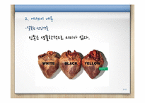 미국의 인종차별과 한국의 지역감정 고찰-9
