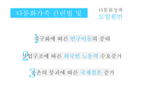 다문화가족 정책 및 관련법 연구-13