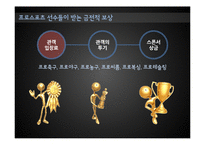 해외스포츠의 범람과 국내 프로스포츠의 과제와 전망-4