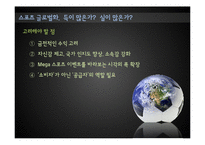 해외스포츠의 범람과 국내 프로스포츠의 과제와 전망-9