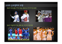 해외스포츠의 범람과 국내 프로스포츠의 과제와 전망-10