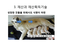 [정치학] 아리스토텔레스 정치학 1권-17