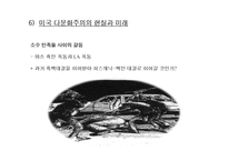 미국인의 특별 의식에 대하여-17