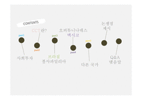 투자형 복지와 CCT프로그램 사례-2