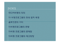 TV비평 프로그램의 문제점 고찰-2