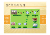 영화 `아일랜드`를 통해 본 인간복제 문제 고찰-6