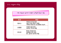 이탈리아 와인의 특징, 지역별 이탈리아 와인에 대하여-6