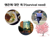 William Glasser의 성장배경 및 인간관과 현실 치료(Reality Therapy)-11