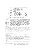 [언어학] 이집트 상형문자-9