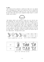 [언어학] 이집트 상형문자-18