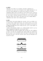[언어학] 이집트 상형문자-19