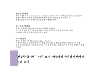 영화 `친절한 금자씨` 분석-박찬욱 감독의 작가주의를 중심으로-15