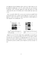 [세포공학] Eukaryotic 세포주를 이용한 Hormone의 생산 및 이용 현황-10