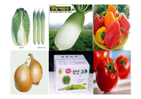 몬산토의 CSR 활동-4