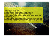 몬산토의 CSR 활동-8