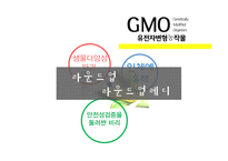 몬산토의 CSR 활동-9