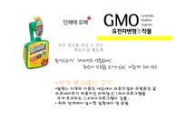 몬산토의 CSR 활동-10