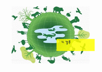 몬산토의 CSR 활동-20