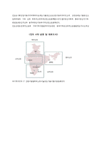E-mart 인도진출전략-11