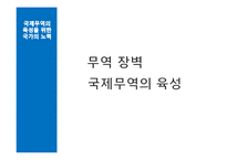 국제무역과 세계화에 대한 우려, 국제무역의 육성을 위한 국가의 노력-13