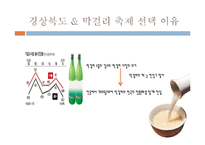 경상북도 민속주 & 막걸리 축제 분석-3