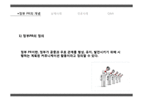 정부 PR 사례 레포트-3