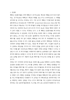 NPT체제의 문제점에 대한 논란 분석-7