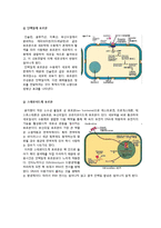 사랑과 이별에 대한 뇌와 호르몬 분비 연구-4