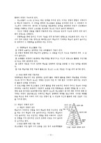 청소년 집단 농촌체험 프로그램 기획-13