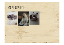지역개발-종속이론-15